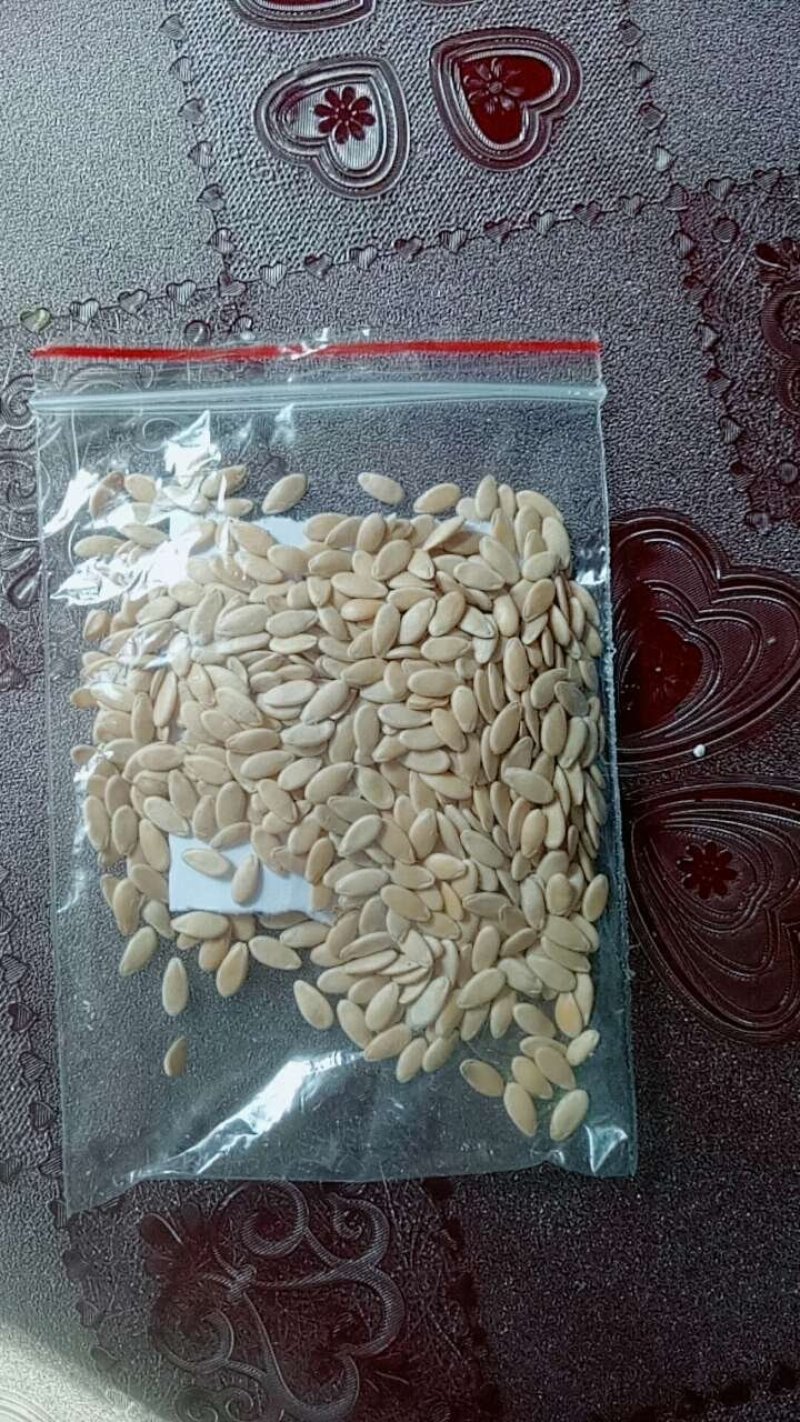 四季茄子树种子多年生长特色高产可观赏树形紫茄子树种子蔬菜