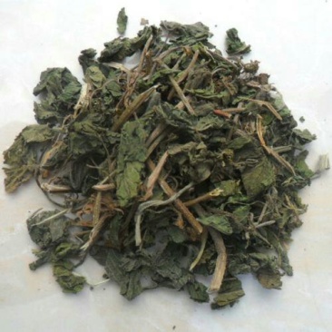 葎草，常年批发供应，葎草中草药