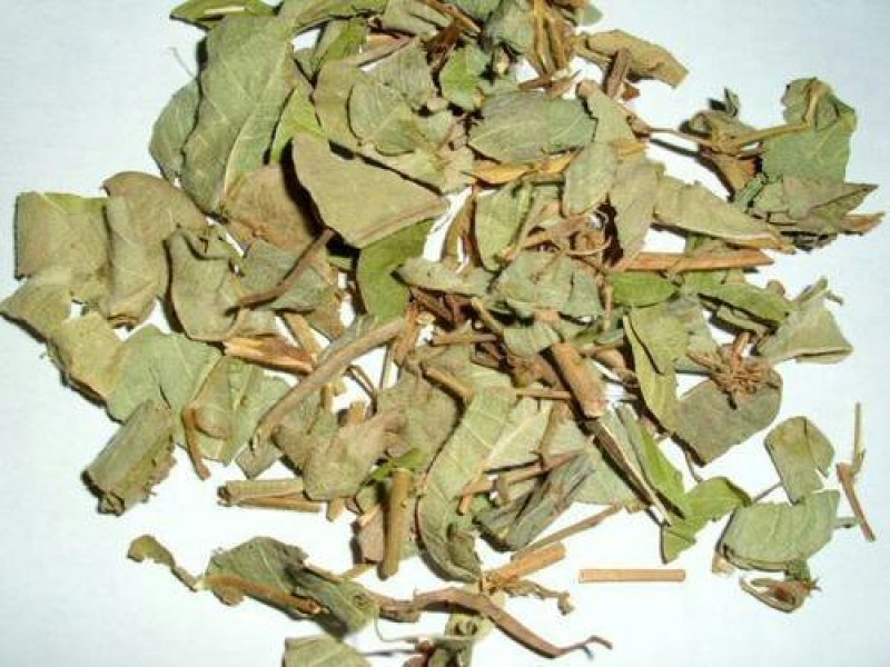 金钱草，常年批发供应广金钱草中草药