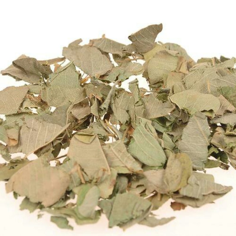 金钱草，常年批发供应广金钱草中草药