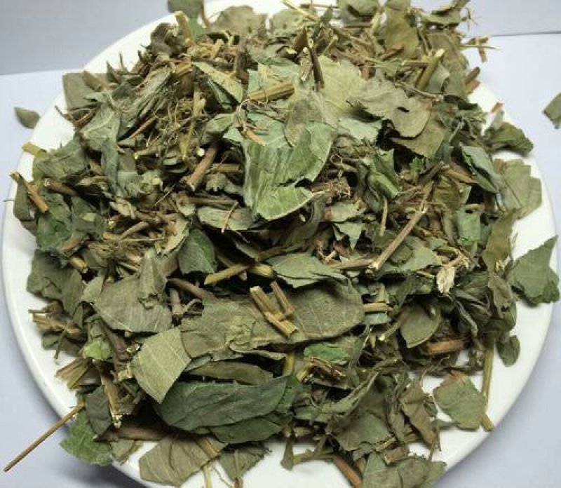 金钱草，常年批发供应广金钱草中草药