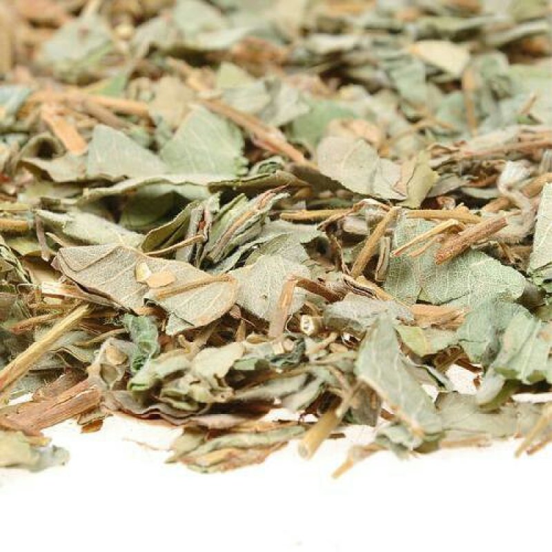 金钱草，常年批发供应广金钱草中草药