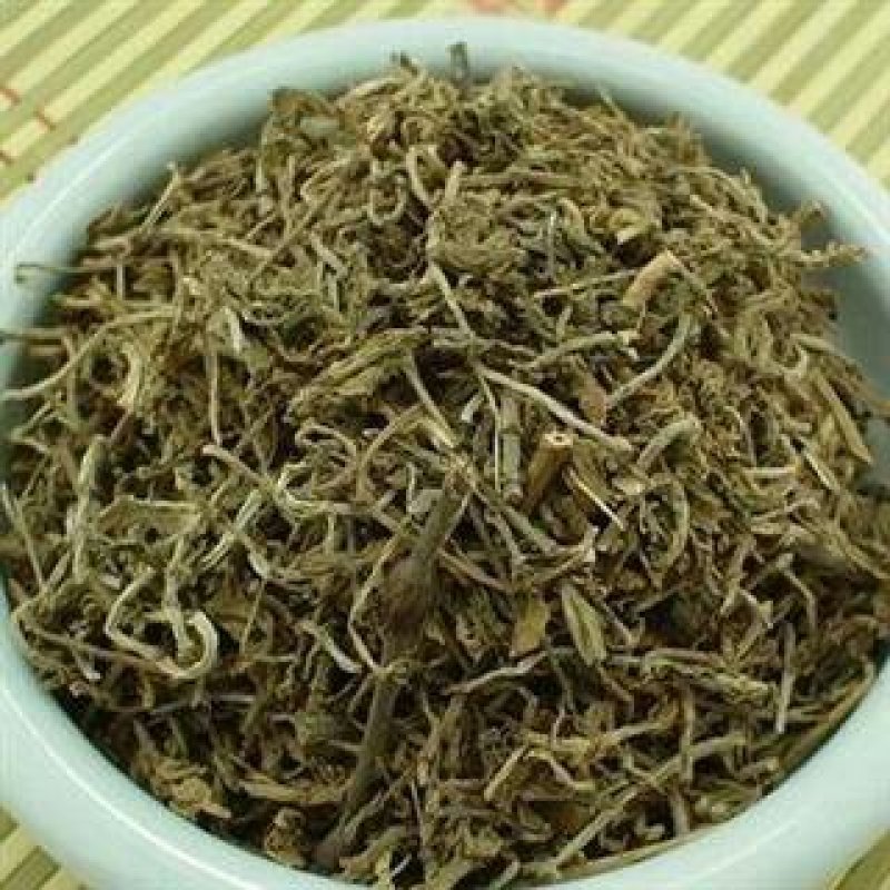 垂盆草，常年批发供应垂盆草，中草药