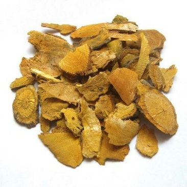 虎杖，常年批发供应虎杖中药材