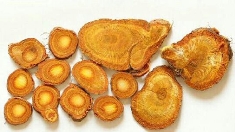 虎杖，常年批发供应虎杖中药材