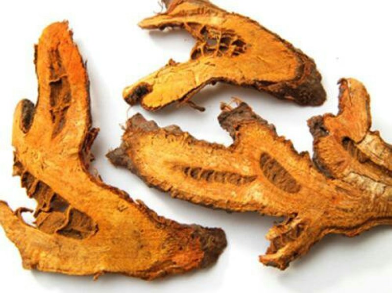 虎杖，常年批发供应虎杖中药材