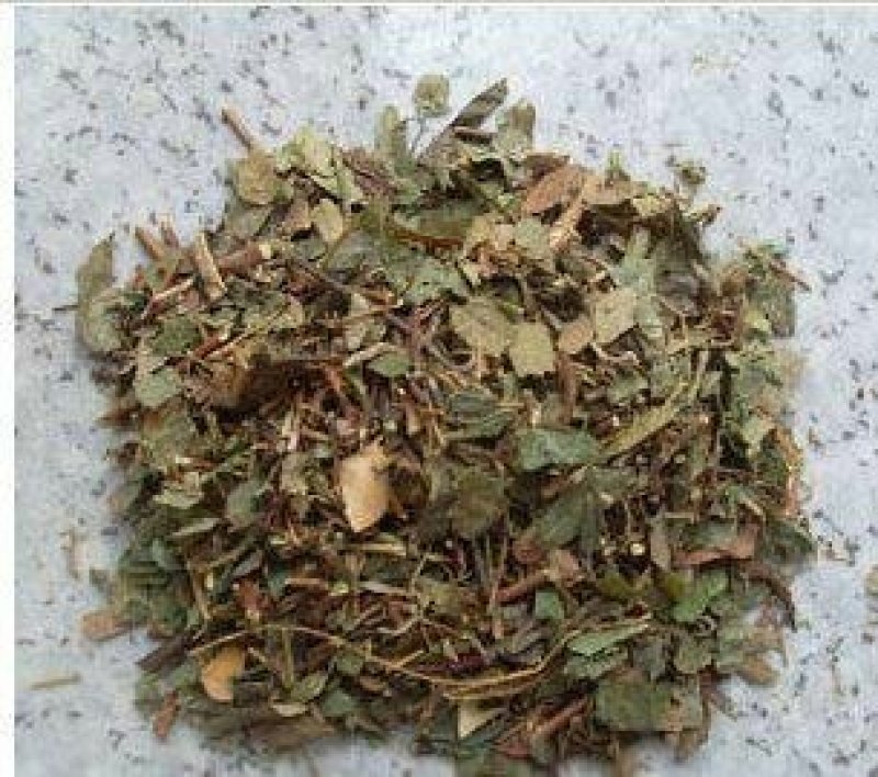 鸡骨草，常年批发供应野生鸡骨草中药材