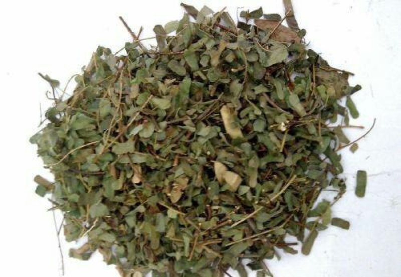 鸡骨草，常年批发供应野生鸡骨草中药材