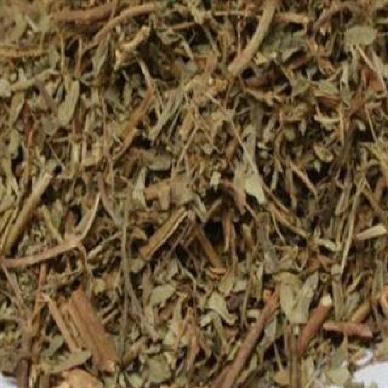 青叶胆，常年批发供应肝炎草，青叶胆中药材