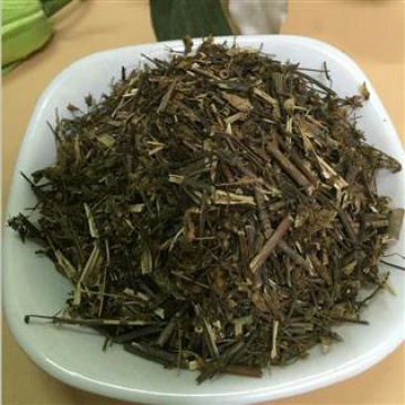 青叶胆，常年批发供应肝炎草，青叶胆中药材