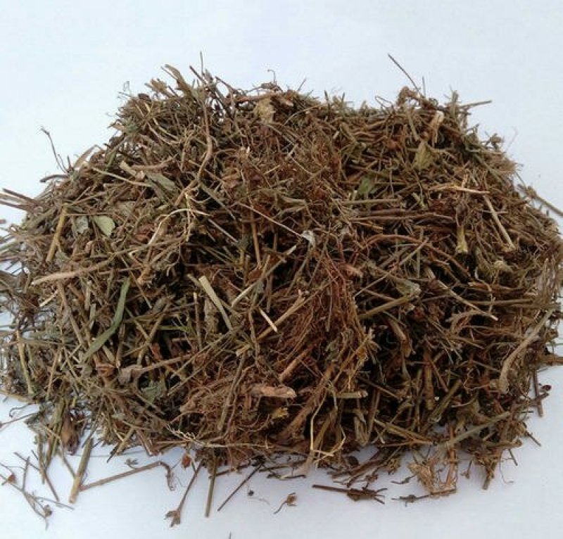 地耳草，常年批发供应野生地耳草，田基黄，中药材