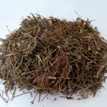 地耳草，常年批发供应野生地耳草，田基黄，中药材