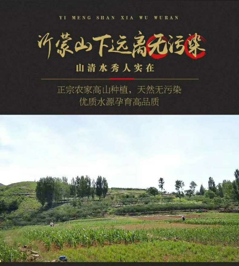 山里地瓜红薯粉皮，纯红薯粉，耐煮劲道，醇香丝滑，营养丰富