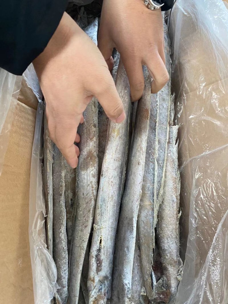 新鲜刀鱼