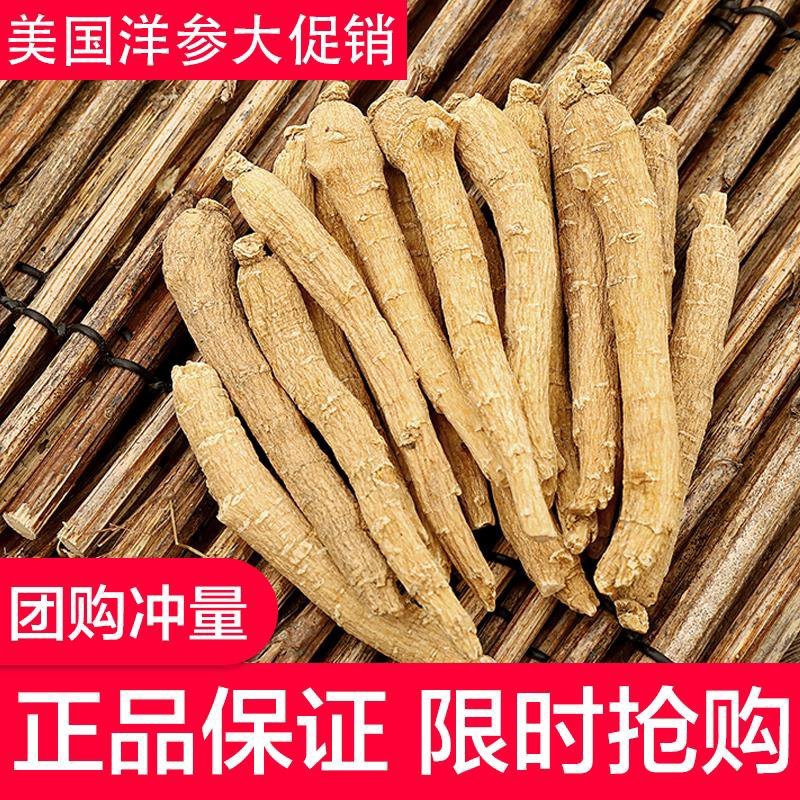 【只卖正品】长白山西洋参整枝条好货不贵高性价比欢迎大量批