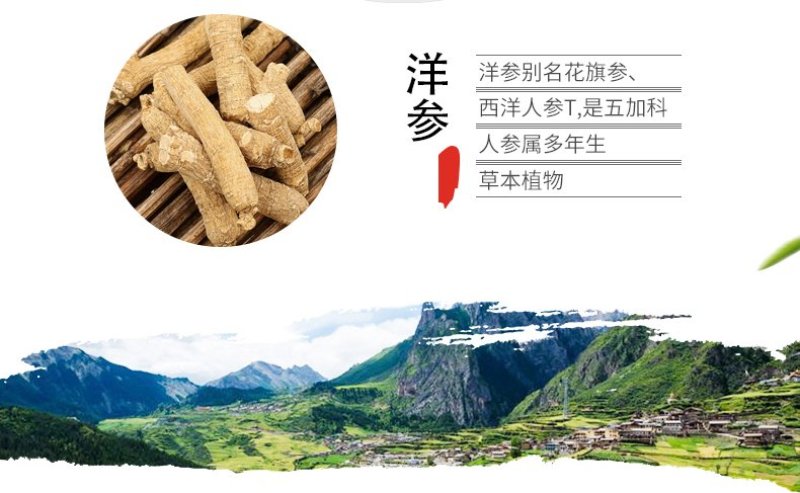 【只卖正品】长白山西洋参整枝条好货不贵高性价比欢迎大量批