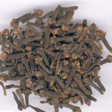 公丁香，常年批发供应公丁香，