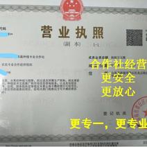 济南甜宝优质草莓苗，成活率高产量高