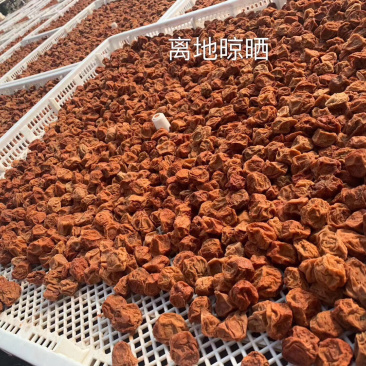包邮九制甘草话梅源头厂家直销达标中大个话梅