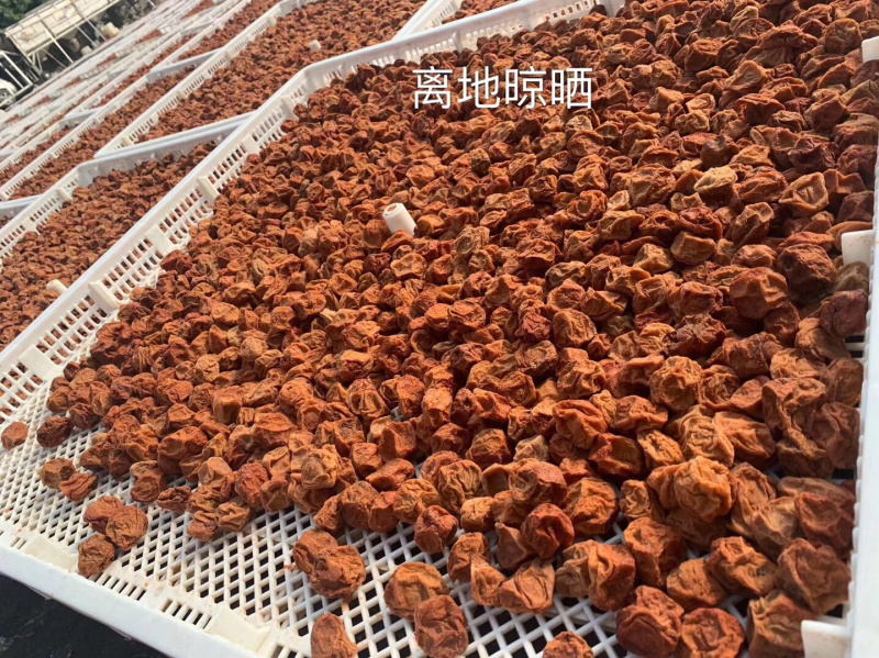 包邮九制甘草话梅源头厂家直销达标中大个话梅