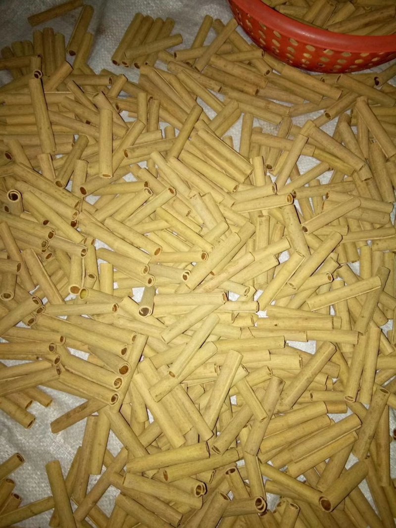 烟仔桂