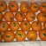沃柑