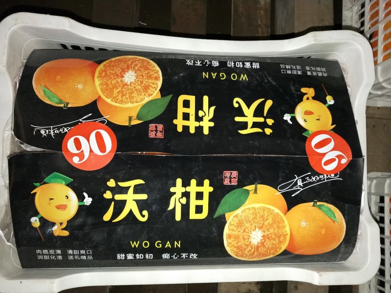 沃柑