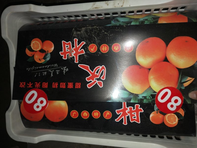 沃柑