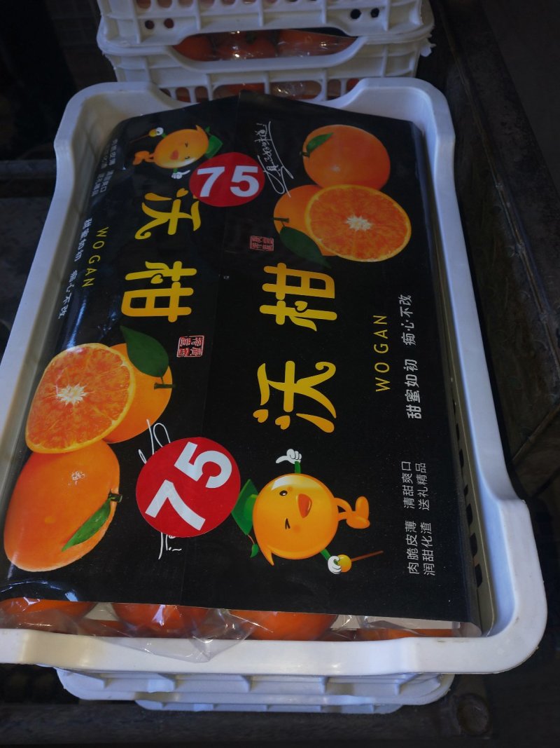 沃柑