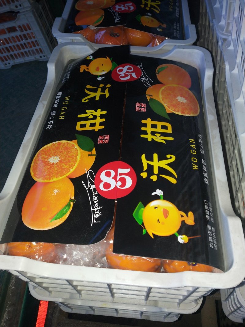沃柑