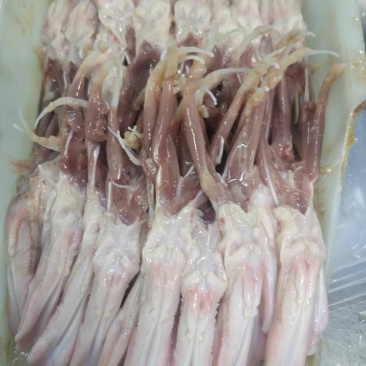 天润新鲜冷冻樱桃谷鸭舌，家庭，酒店，餐厅食堂之佳品