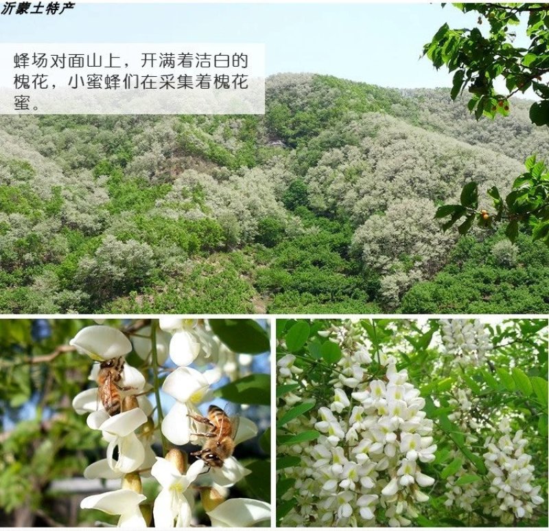 纯正野生结晶蜂蜜农家自产原生态天然野山花土蜂蜜蜜多花