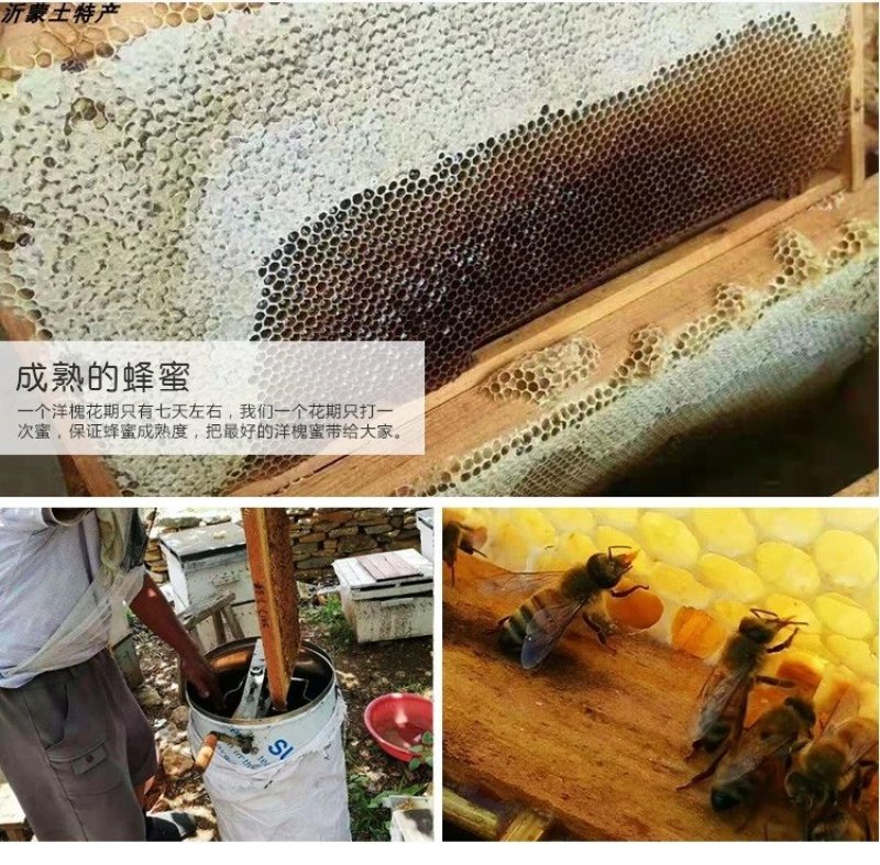 纯正野生结晶蜂蜜农家自产原生态天然野山花土蜂蜜蜜多花