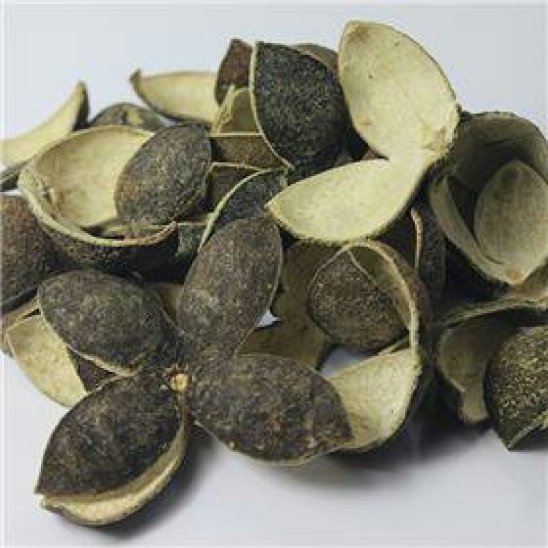 青皮，四花小青皮，常年批发供应浙江货