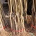 阳山水蜜桃树苗嫁接五月红水蜜桃树苗地栽盆栽庭院果树苗当年
