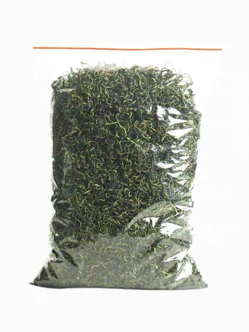 蒲公英茶