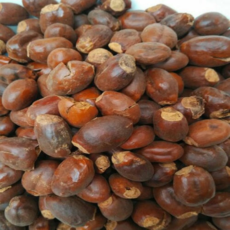 荔枝核，常年批发供应荔枝核，中药材