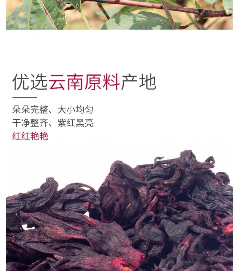 落神花，玫瑰茄