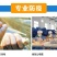 血毛土鸡,血毛鸡,大红公鸡,质量保证