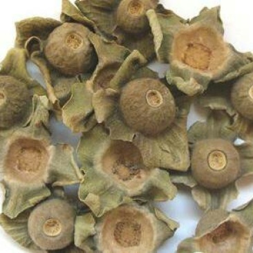 柿蒂，常年批发供应冷背中药材，柿蒂