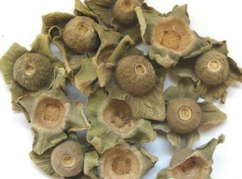 柿蒂，常年批发供应冷背中药材，柿蒂