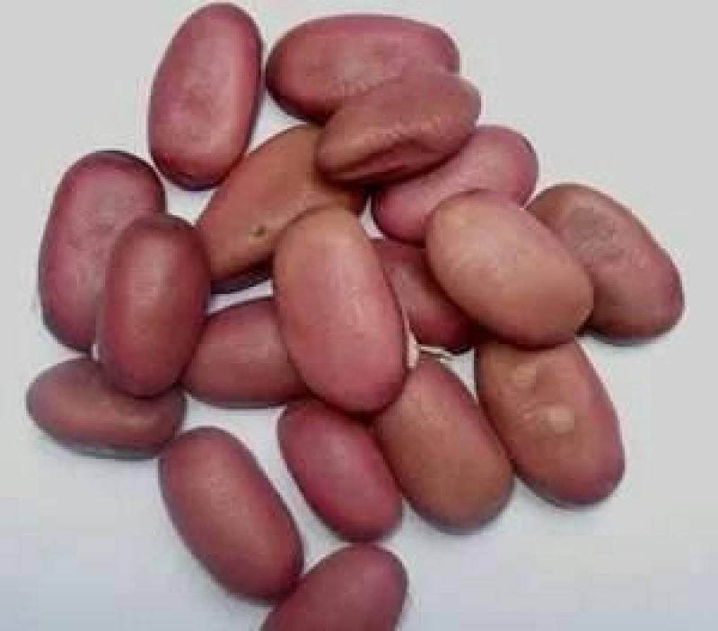 刀豆，常年批发供应冷背中药材，刀豆，大刀豆