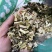 颠茄草，常年批发供应冷背中药材，颠茄草中药材