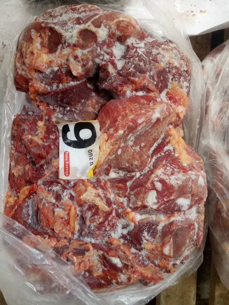 蒙古马肉