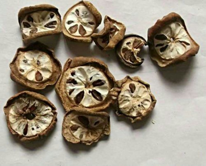 预知子，常年批发供应冷背中药材，预知子