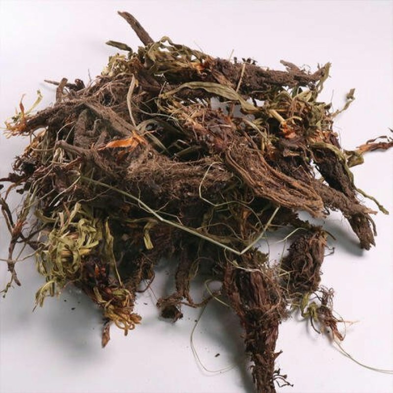 干松，常年批发供应中药材，野生干松