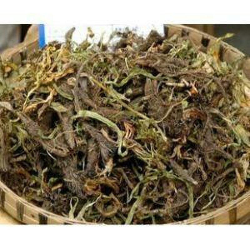 干松，常年批发供应中药材，野生干松