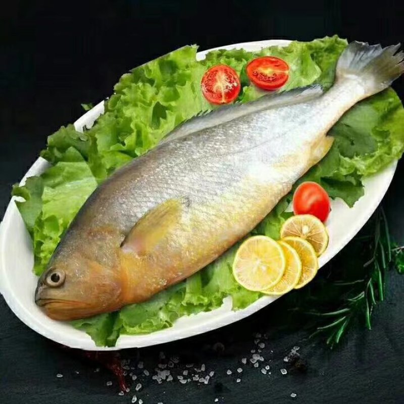 冰鲜大黄鱼，鲜活打捞。肉质细腻，独立包装。