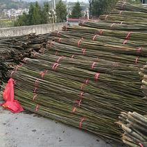 麻竹，菜架竹，水竹，楠竹，金竹，毛竹，晒板竹，各种撑杆