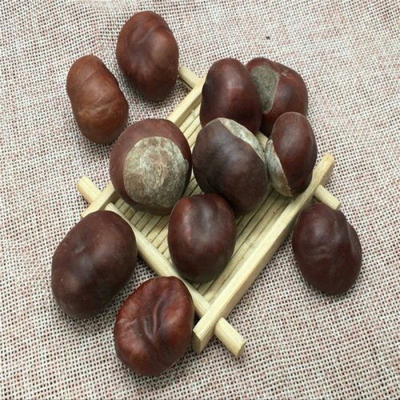 娑罗子，常年批发供应娑罗子，中药材